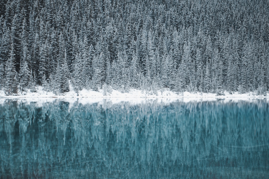 Canada: A Mosaic of Peace (image credits: unsplash)