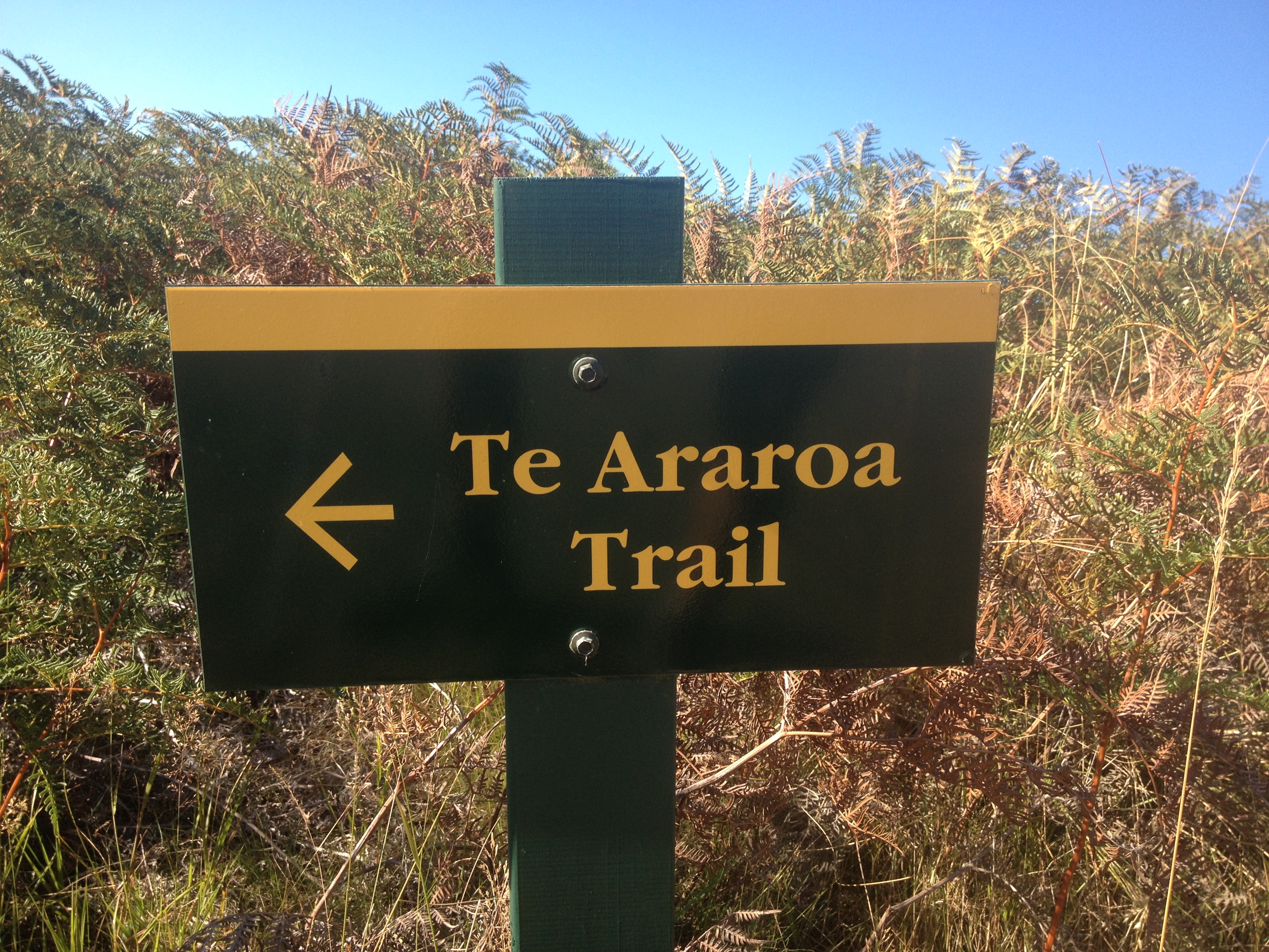 New Zealand: Te Araroa Trail (image credits: wikimedia)