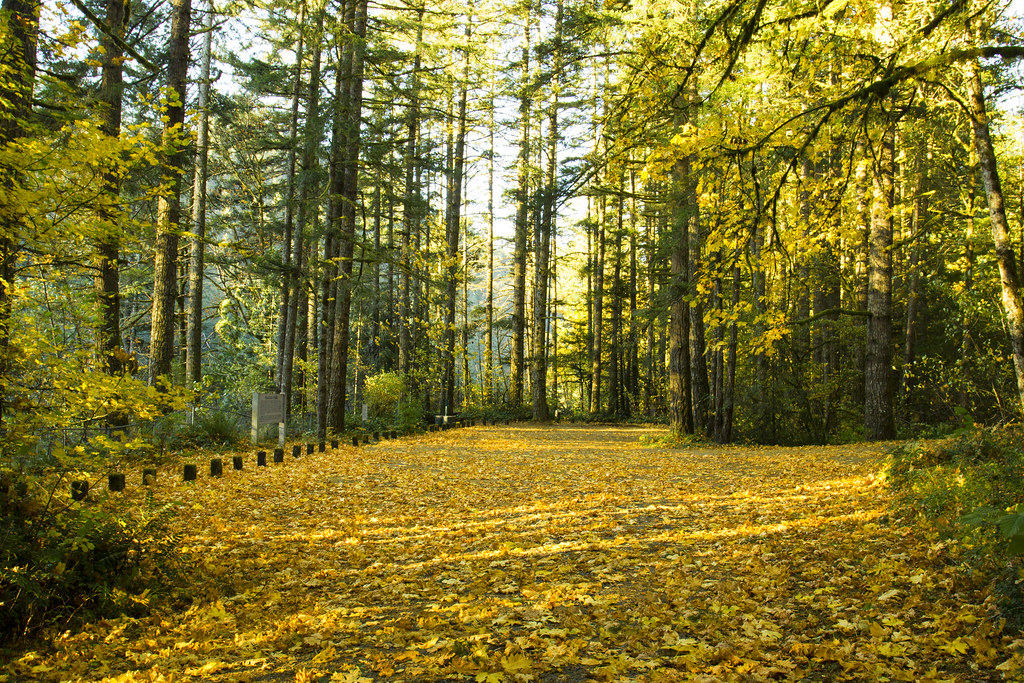 16. Yellow River State Forest (image credits: flickr)