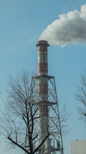 Carbon Offsetting: A Commitment to the Planet