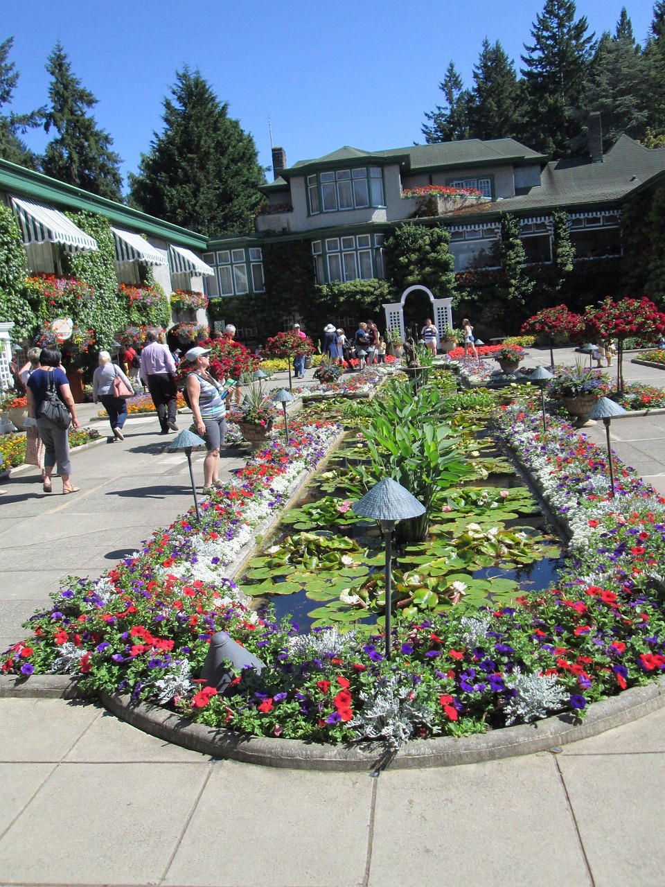 Victoria: An Island Overwhelmed (image credits: pixabay)