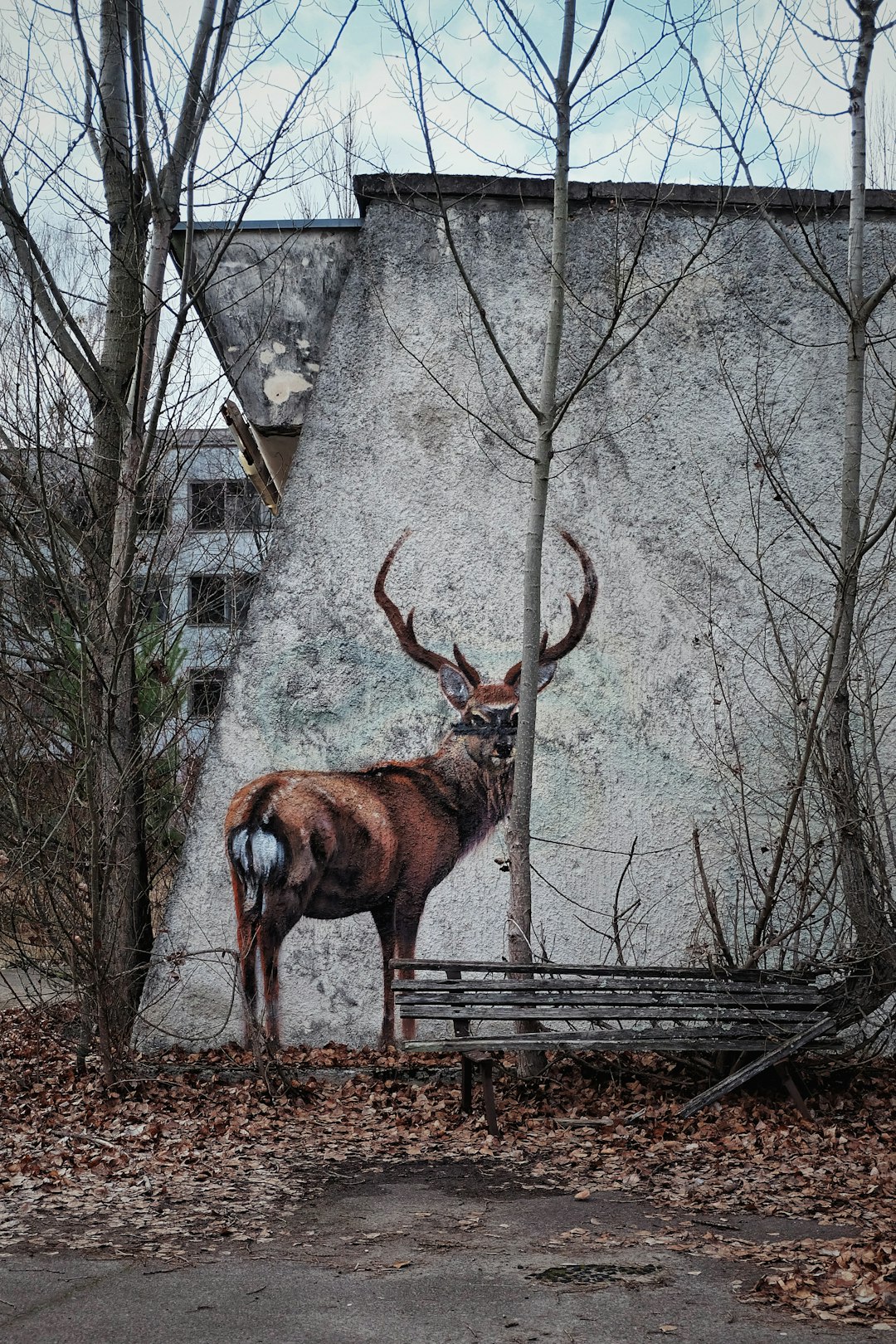 Ecological Recovery (image credits: unsplash)