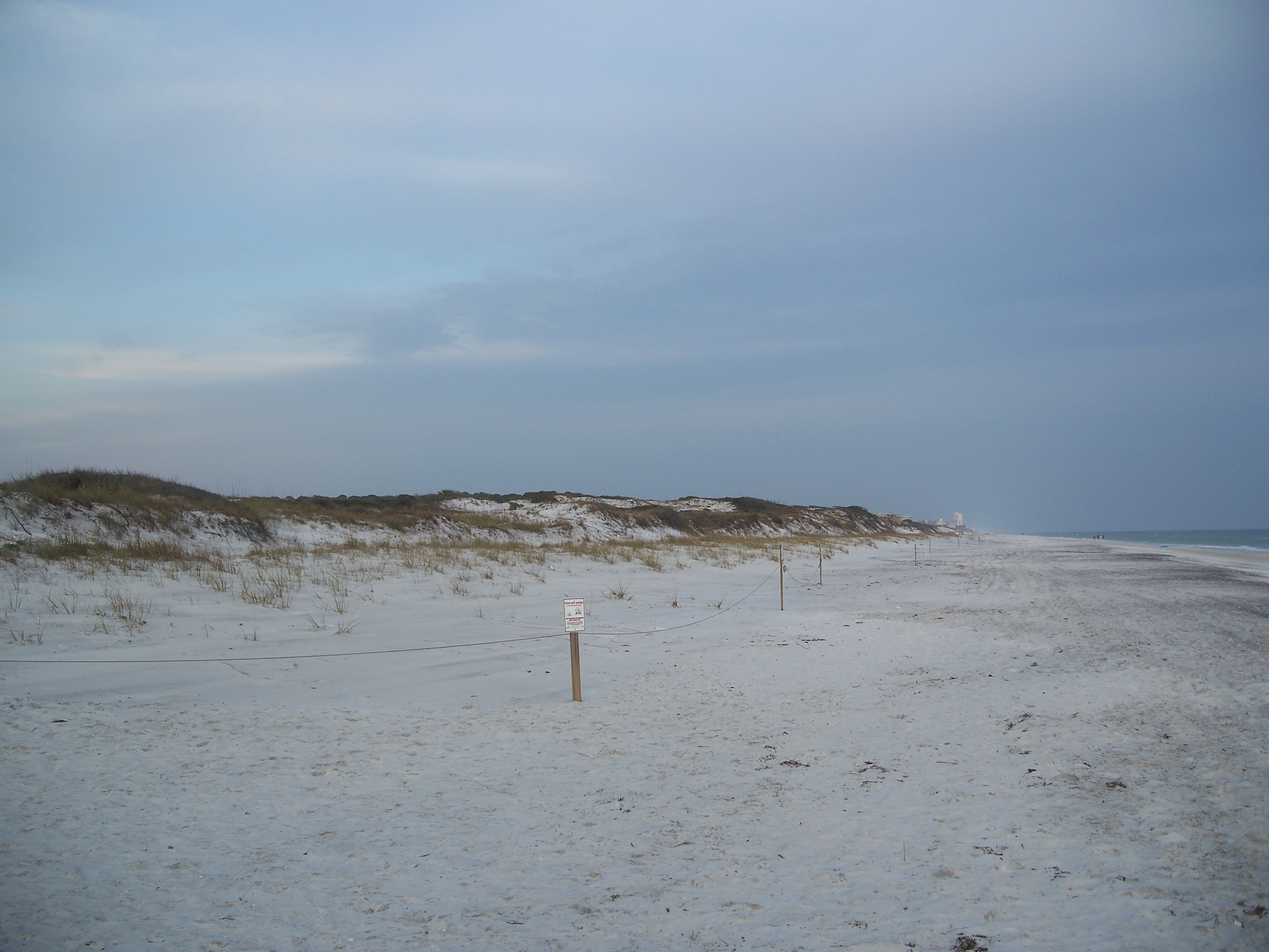 Unveiling the Secret: Grayton Beach, Florida (image credits: wikimedia)