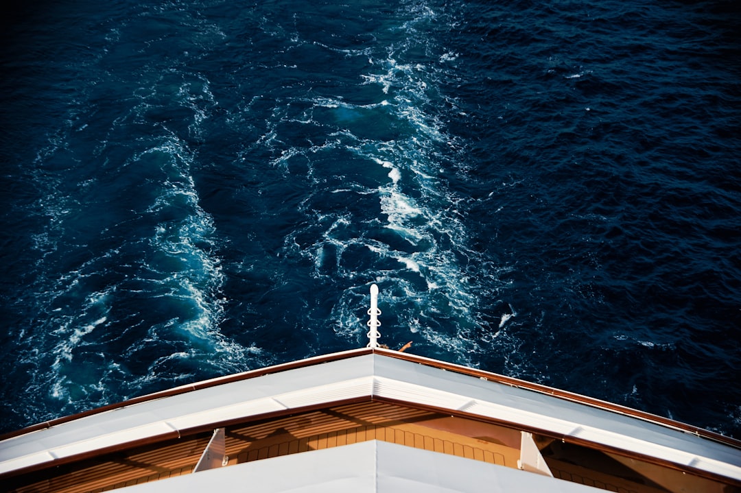 23. The Overboard Death Rate Reality (image credits: unsplash)