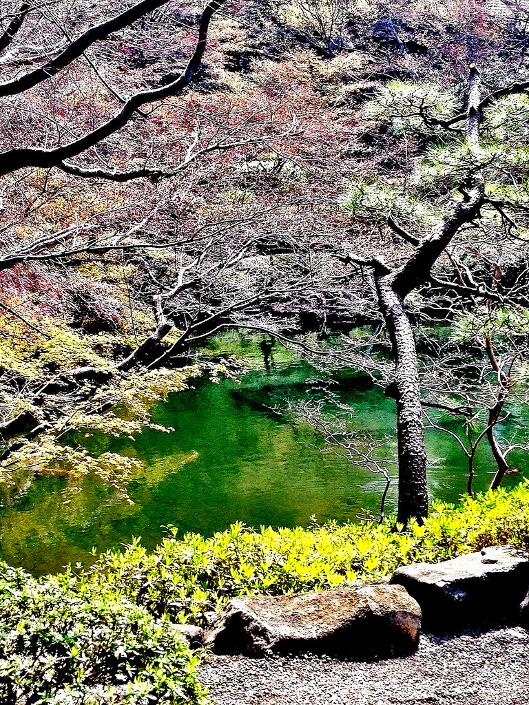 Japan Harmony in Tradition and Nature (image credits: flickr)