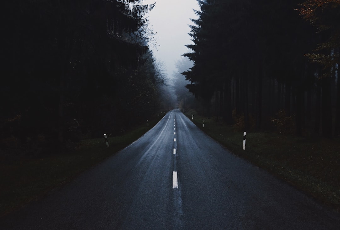 The Rise of Mystery Trips (image credits: unsplash)