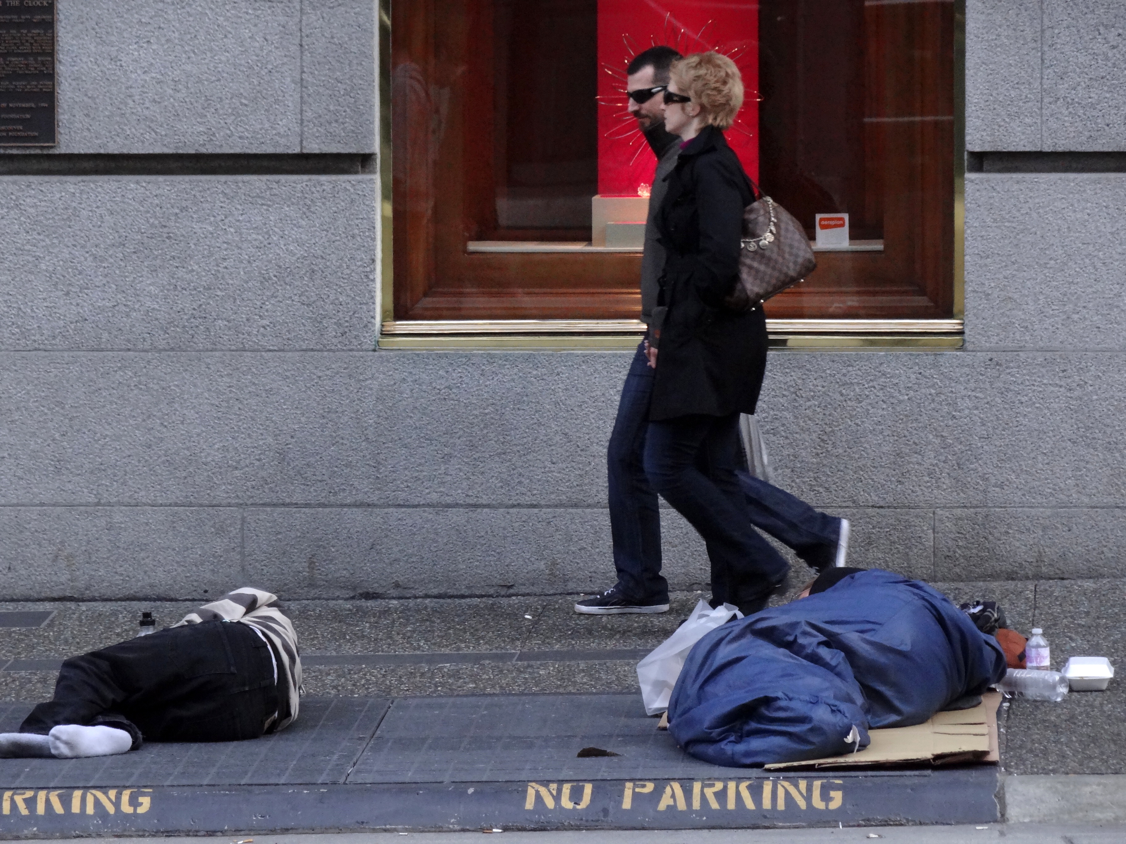 Housing Crisis and Homelessness (image credits: wikimedia)