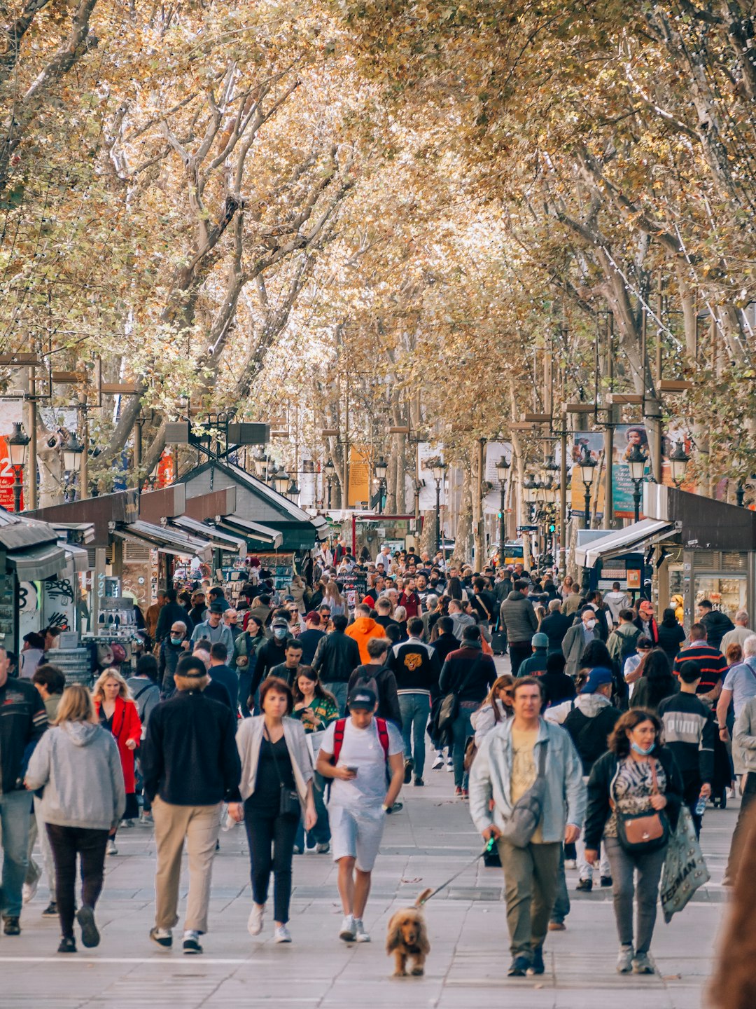 Barcelona, Spain (image credits: unsplash)