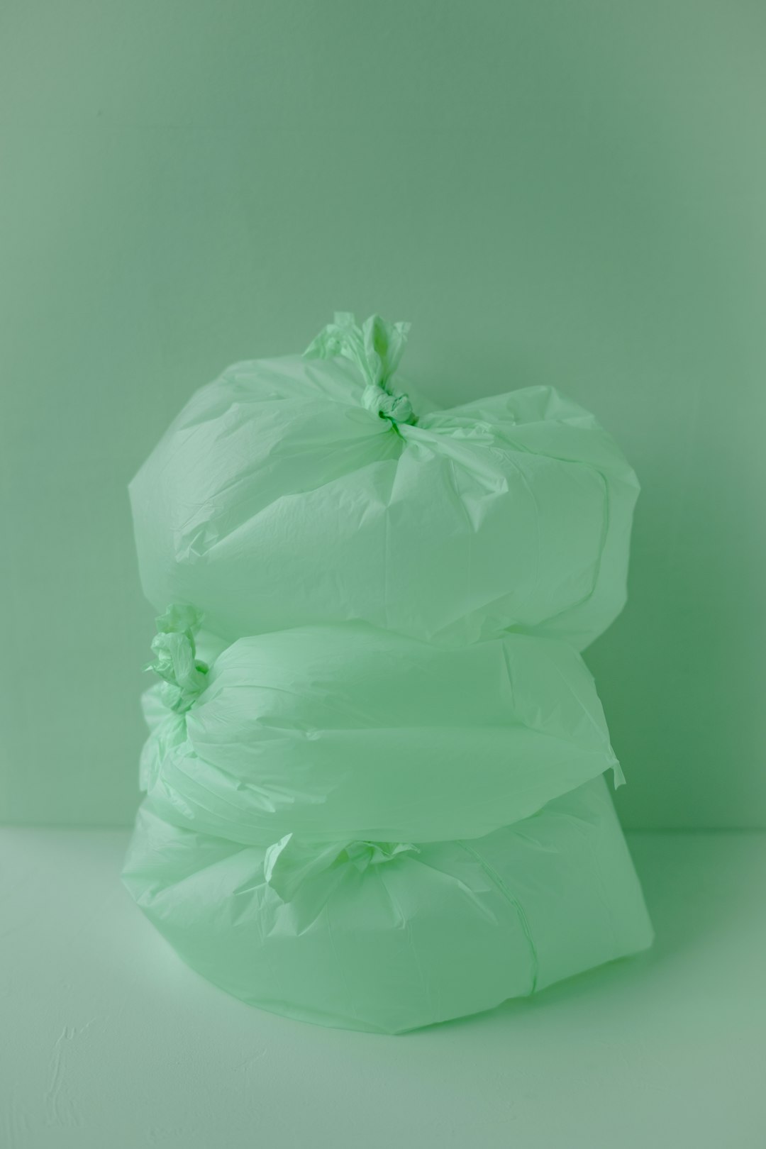 Plastic bags could get you in trouble in paradise (image credits: unsplash)
