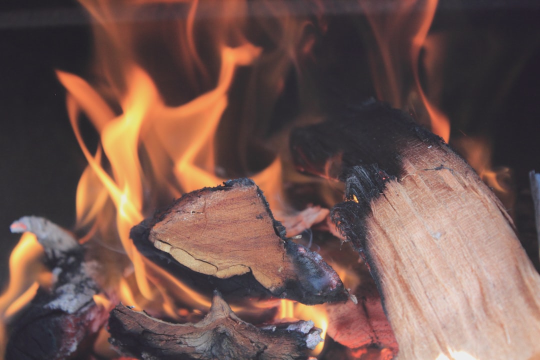 6. Cremation Wood Crisis Sparks Eco-Innovation (image credits: unsplash)