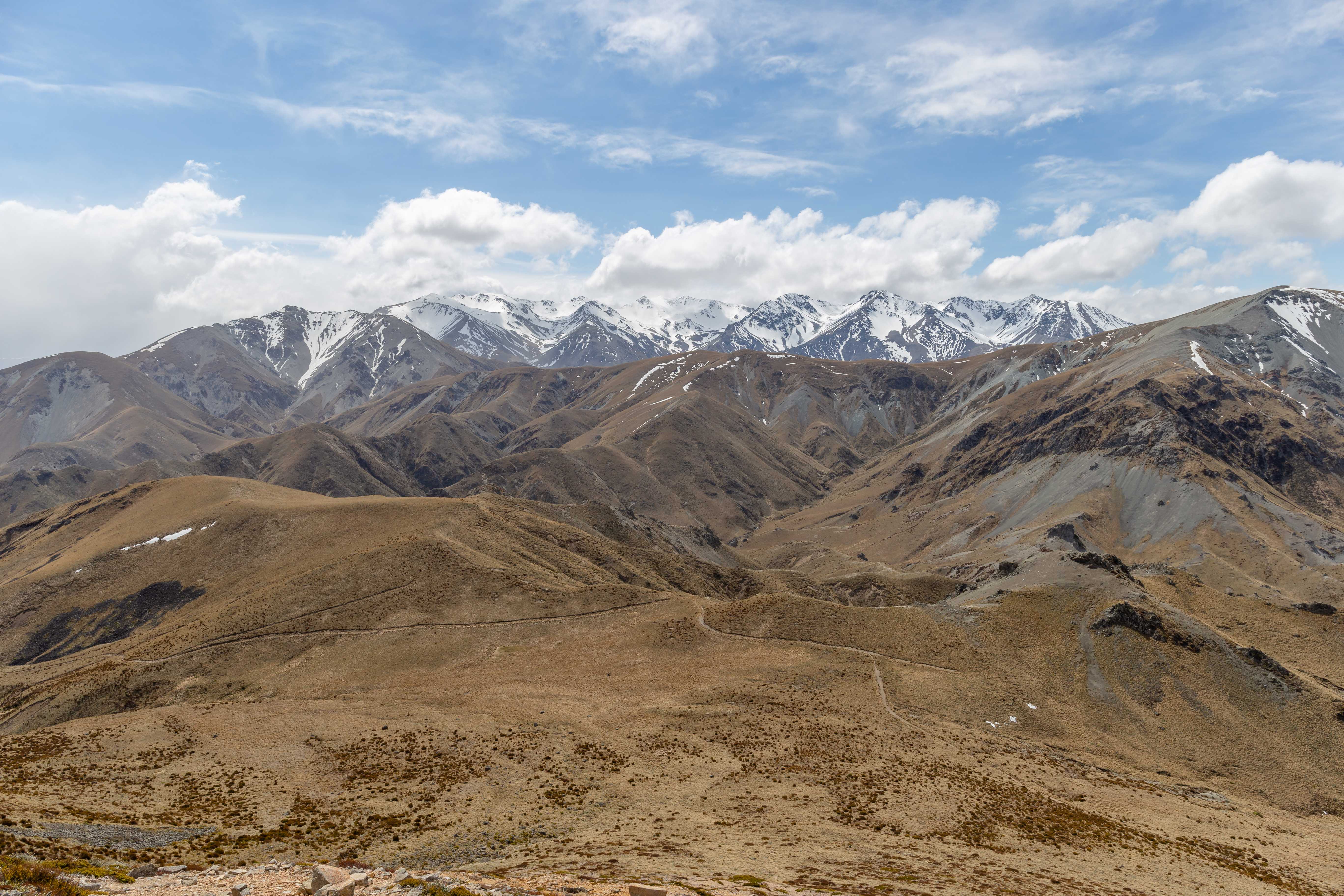 New Zealand: Biodiversity and Conservation (image credits: wikimedia)