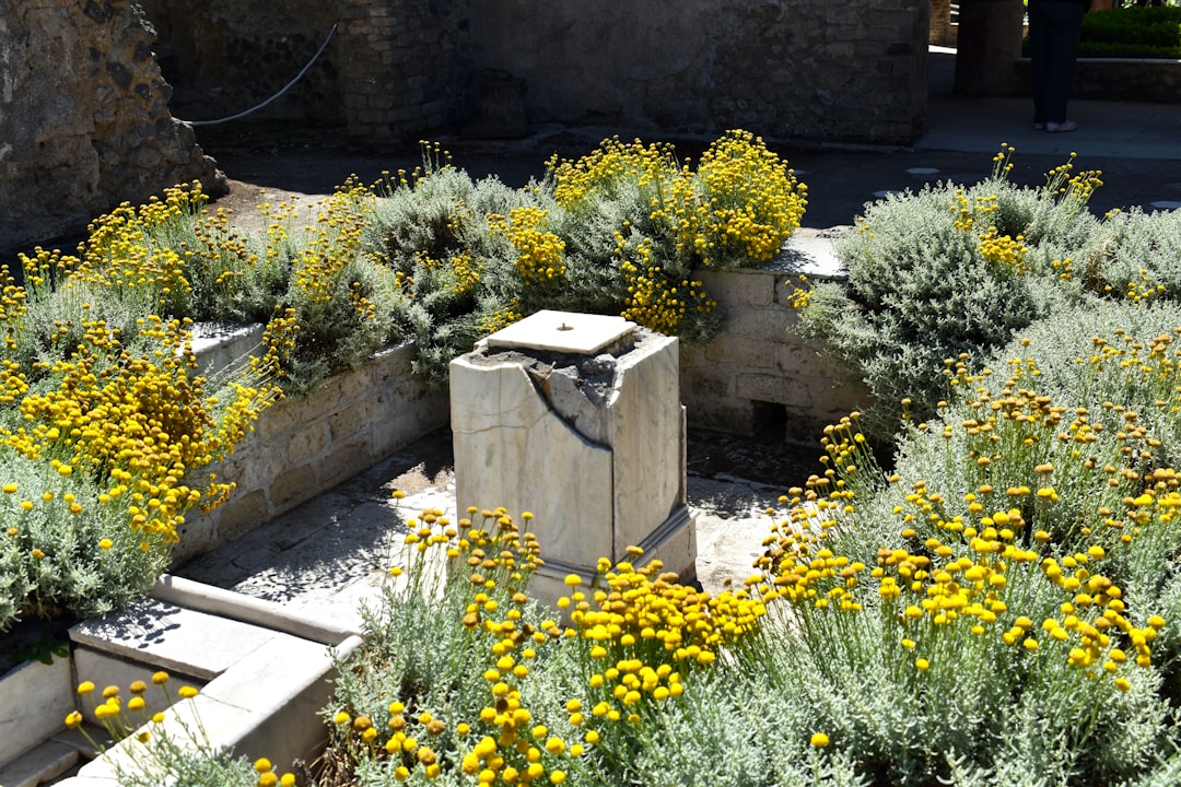 Pompeii (Italy) – A Roman City Frozen in Death (image credits: unsplash)