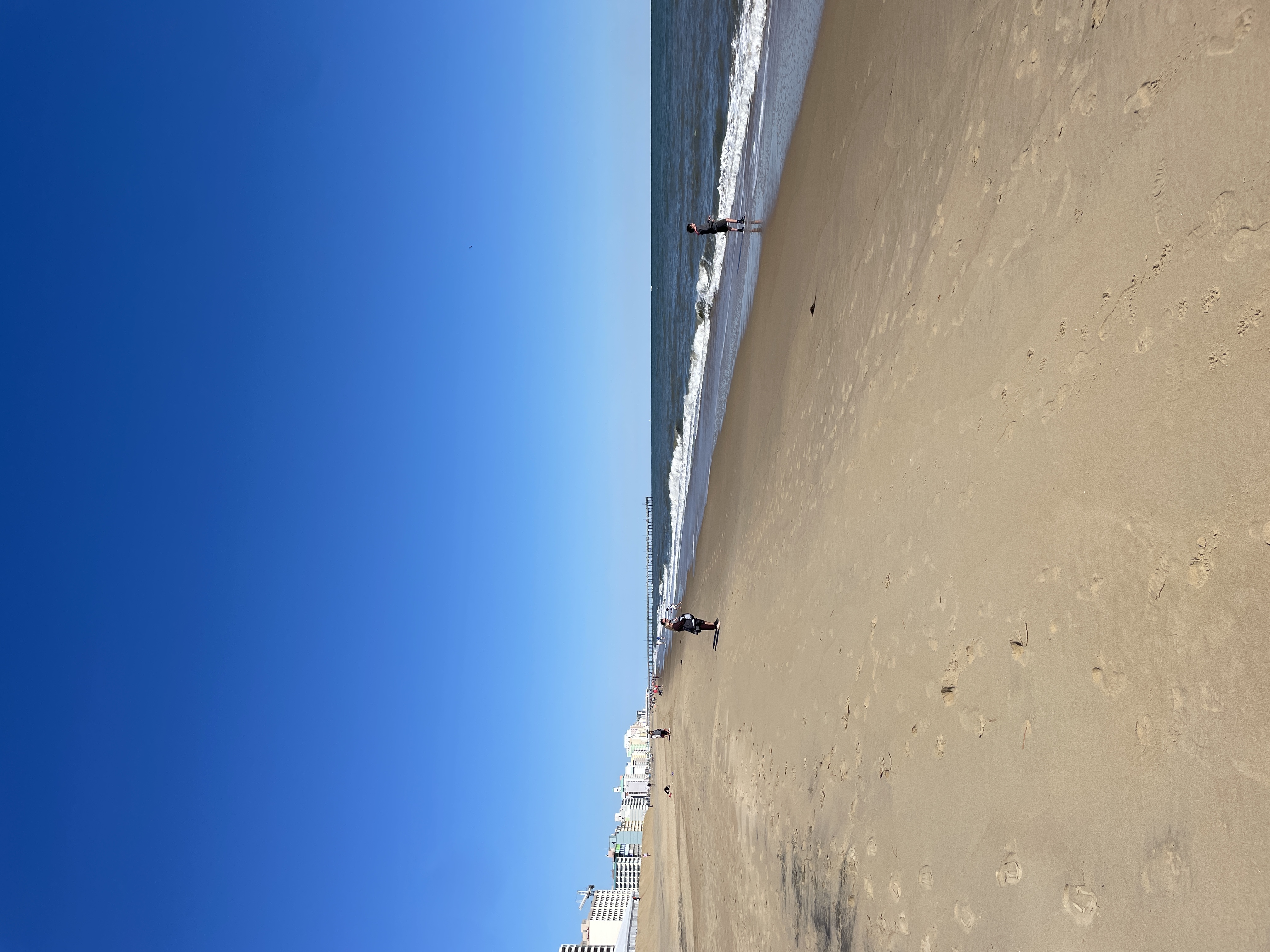Virginia Beach Virginia Boardwalk Bliss (image credits: wikimedia)