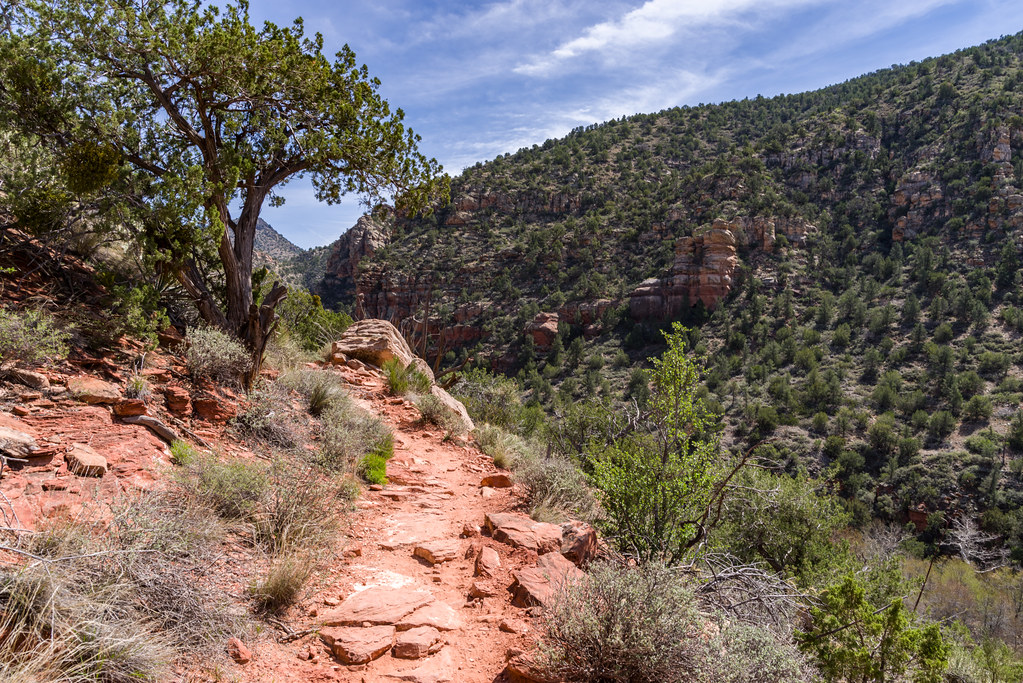 Shortcutting Switchbacks Destroys Mountains (image credits: flickr)