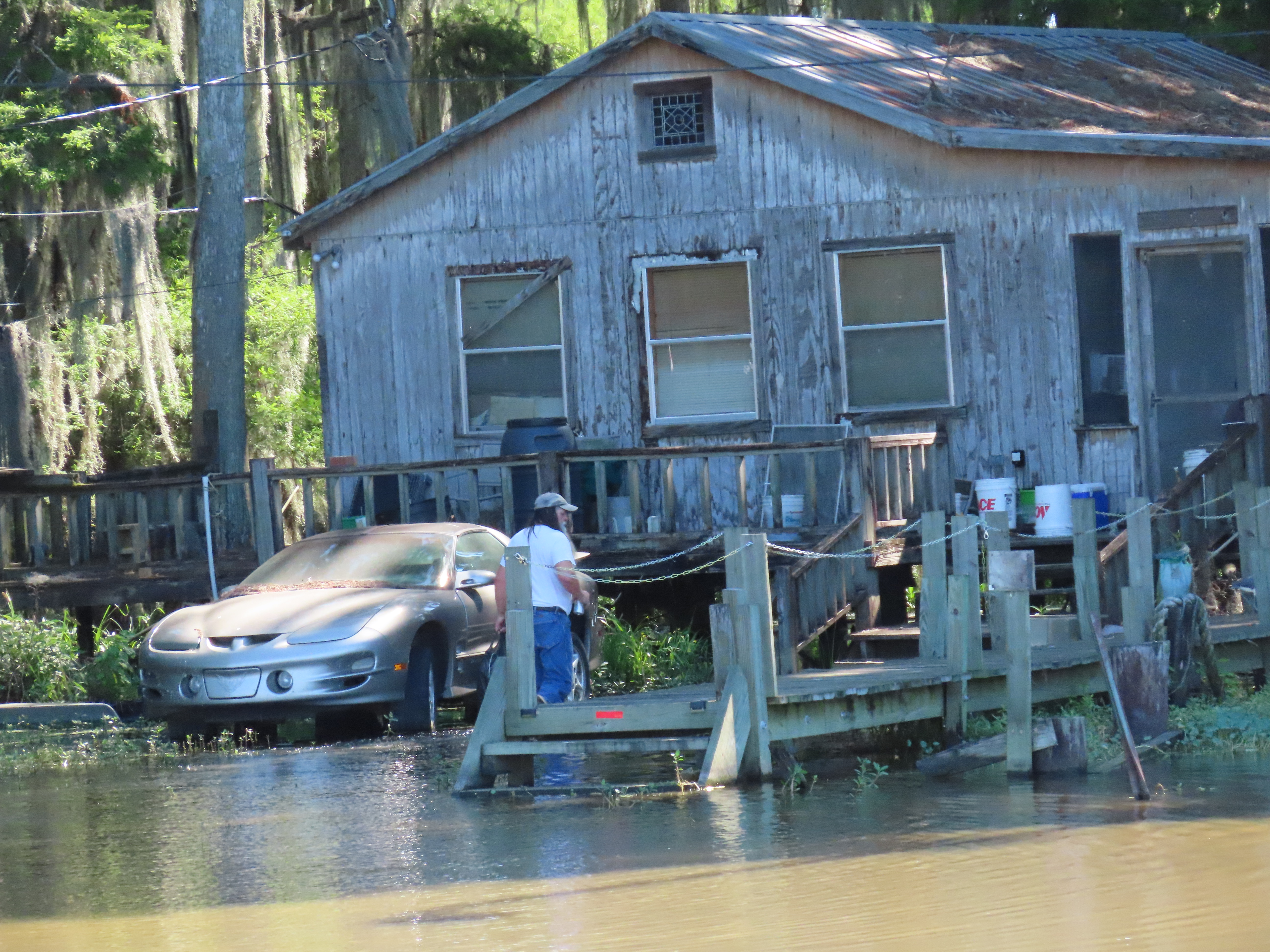 8. Louisiana - Pelican State Drowning in Premium Costs (image credits: wikimedia)