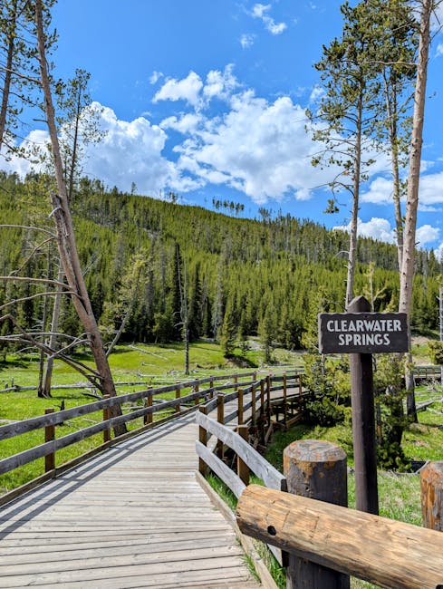 13. Yellowstone's Senior-Accessible Wonders (image credits: pexels)