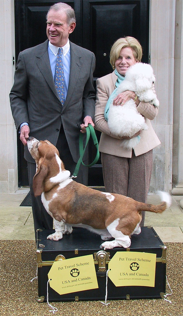 Preparing Your Pet for Travel (image credits: wikimedia)