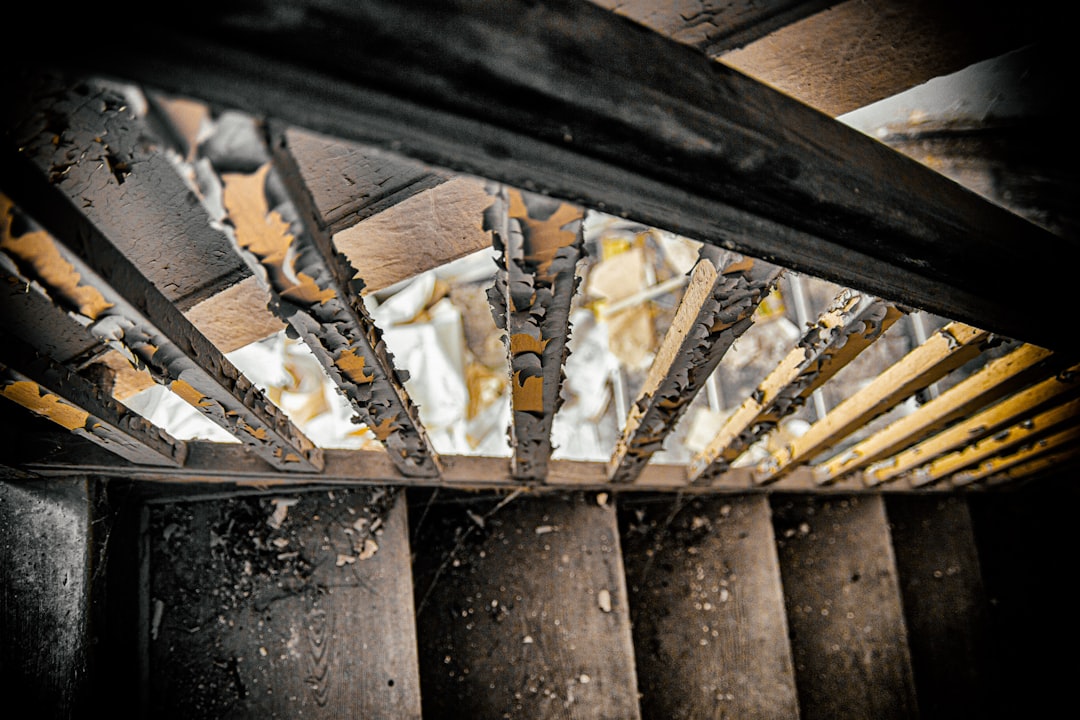 Stair Railings and Banisters (image credits: unsplash)
