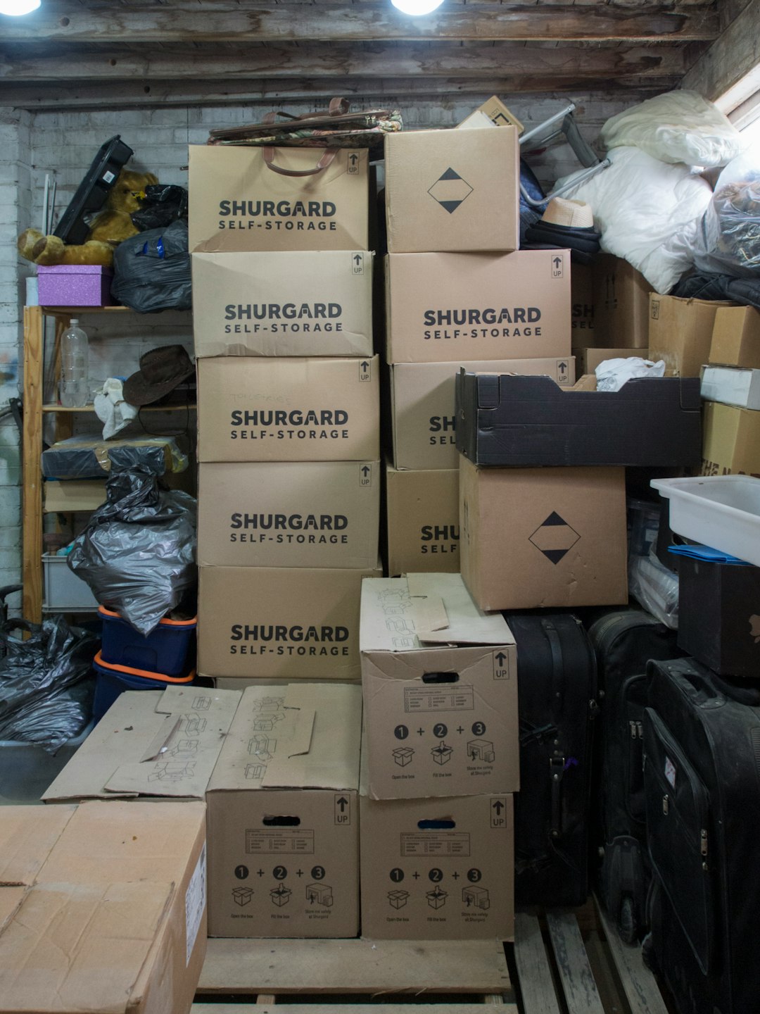 3. The Hoarder Taurus Who Fills Storage Units with Junk (image credits: unsplash)