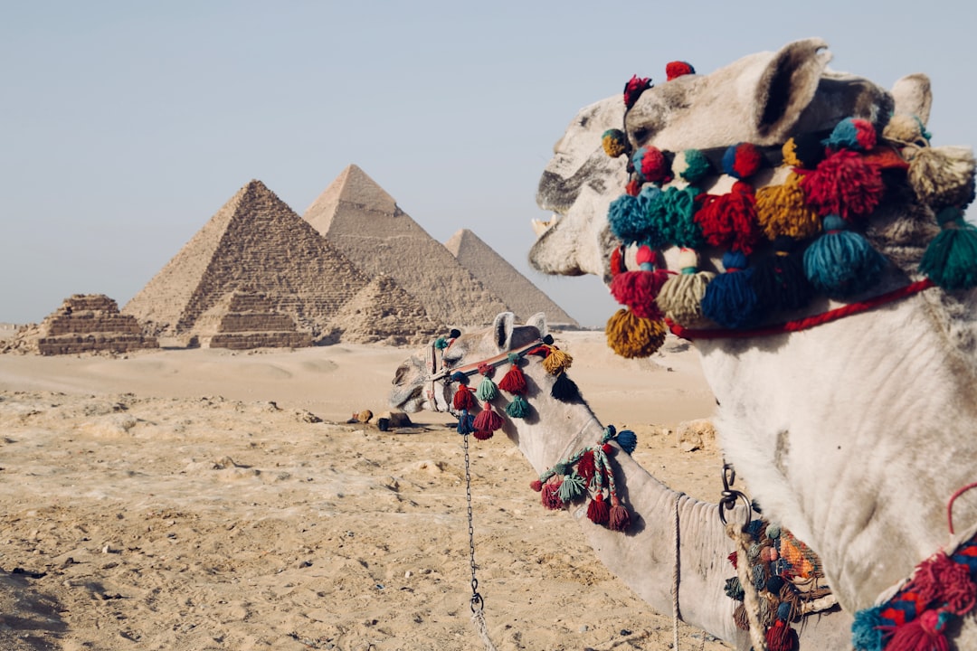 Cairo, Egypt (image credits: unsplash)