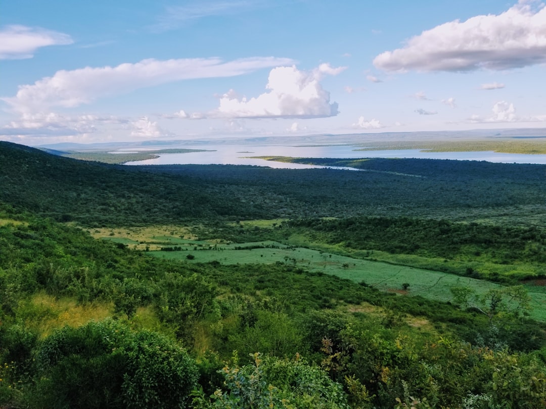 Rwanda The Conservation Comeback Story (image credits: unsplash)