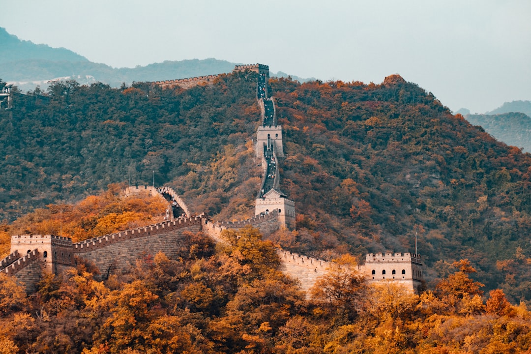 China: The Rising Giant (image credits: unsplash)