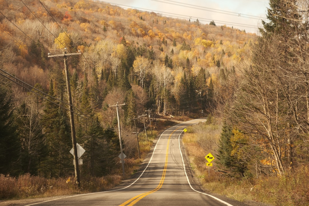 Canada: Endless Horizons and Wild Beauty (image credits: unsplash)