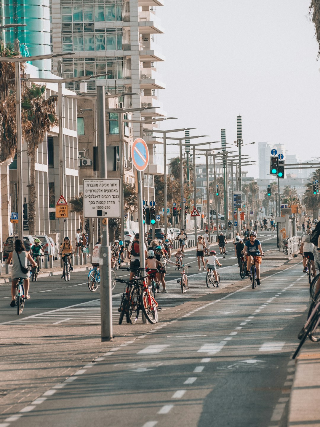 Choose Green Transportation (image credits: unsplash)