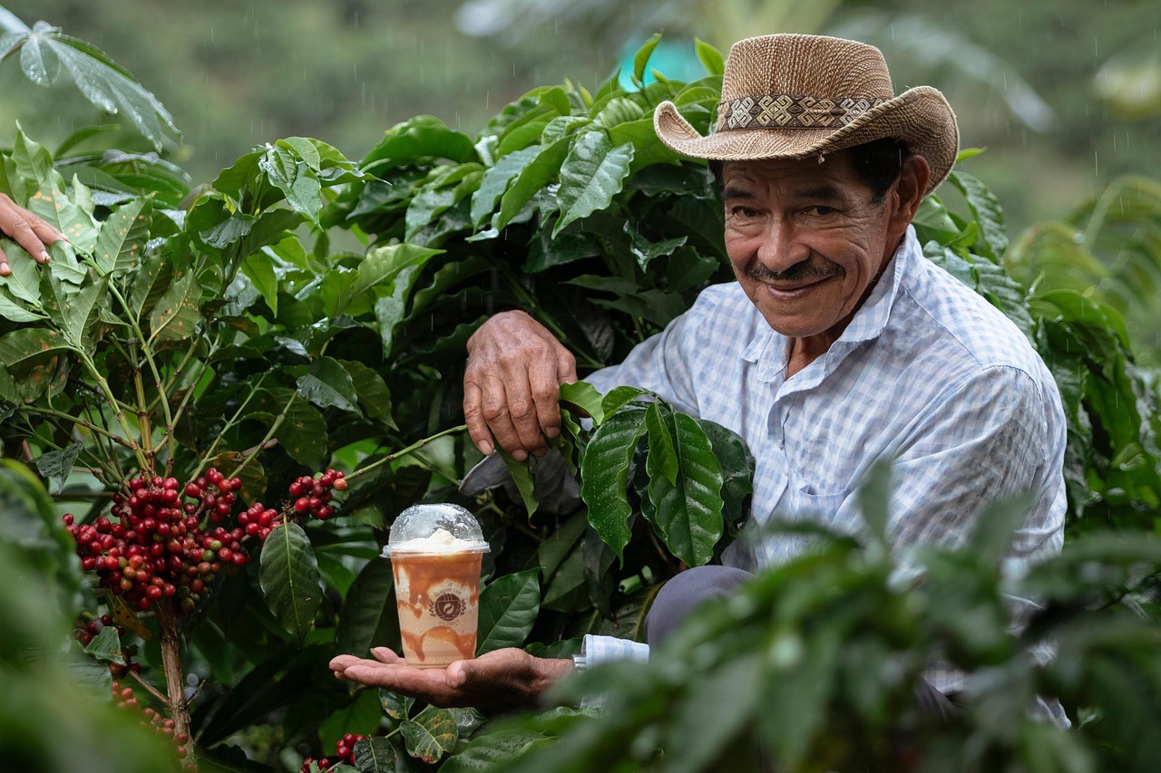 3. Colombia – Coffee Culture and Low Costs (image credits: pixabay)