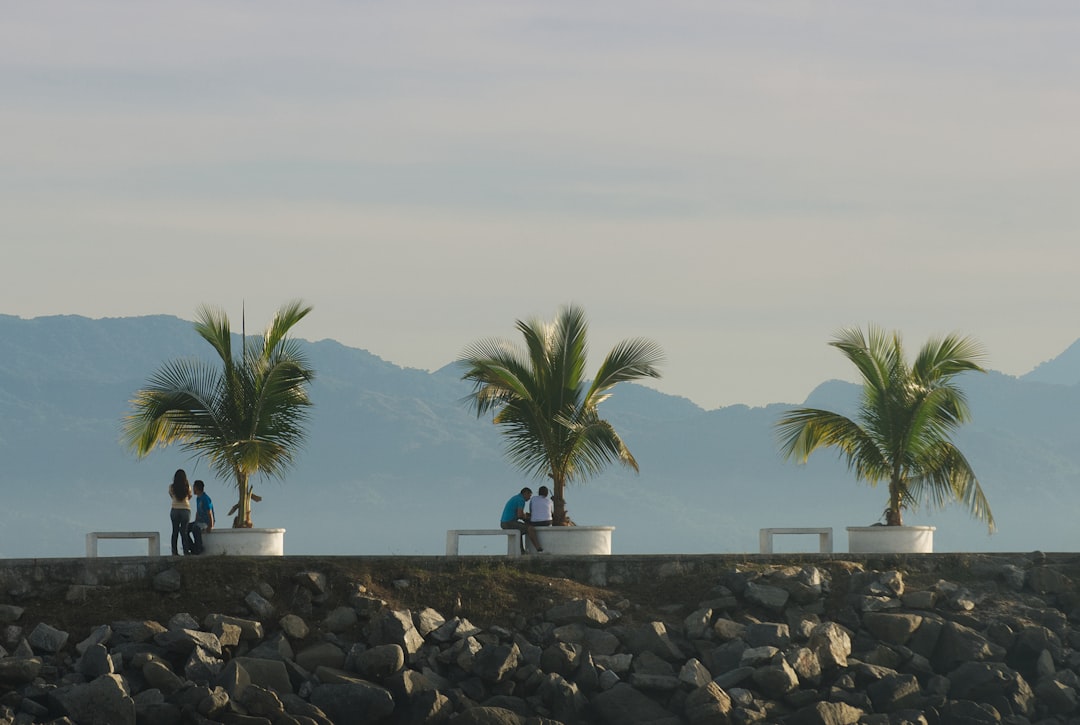 Nuevo Vallarta: Trouble in a Modern Resort (image credits: unsplash)