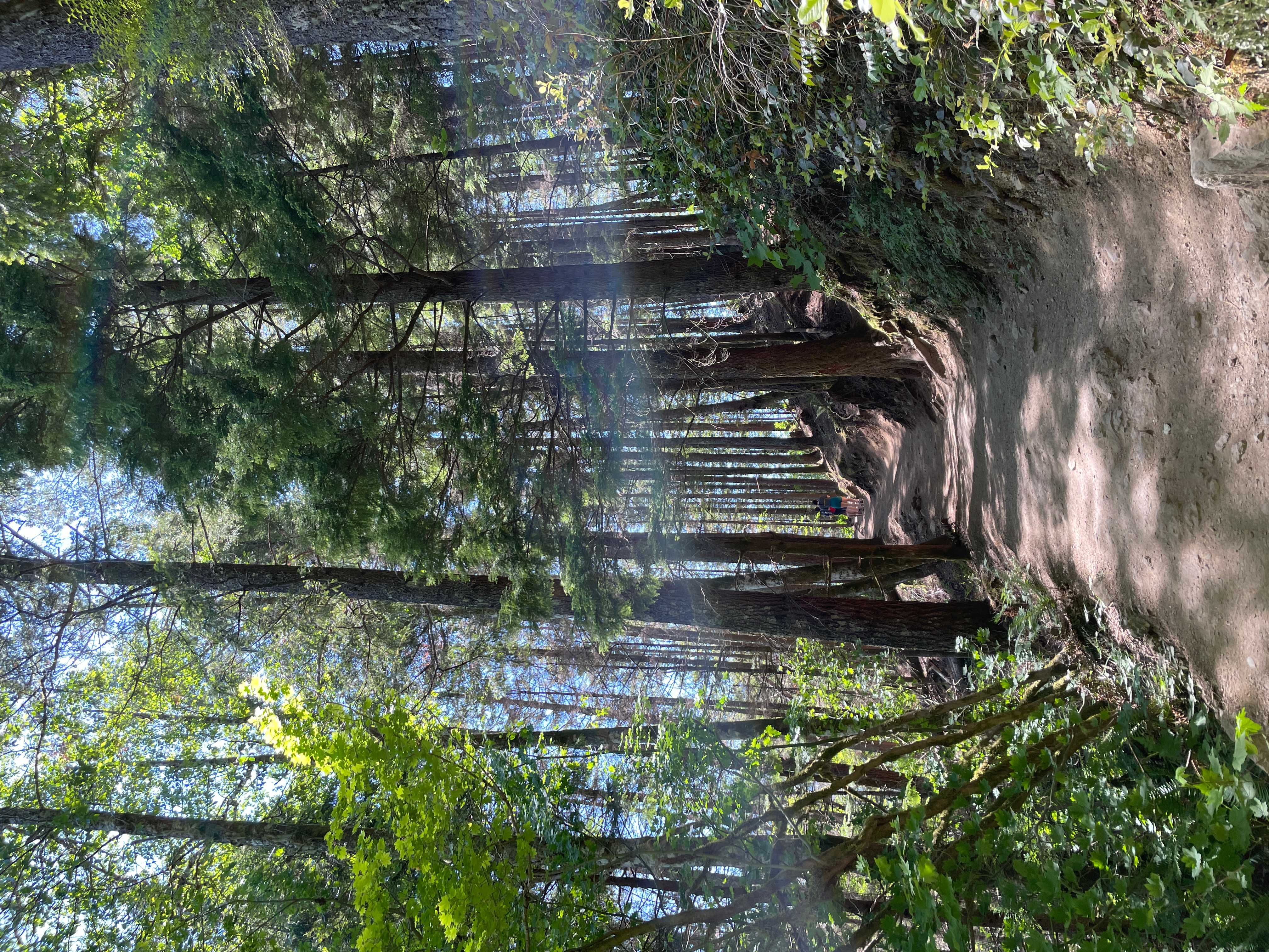 The Rattlesnake Ledge Trail, Washington (image credits: wikimedia)