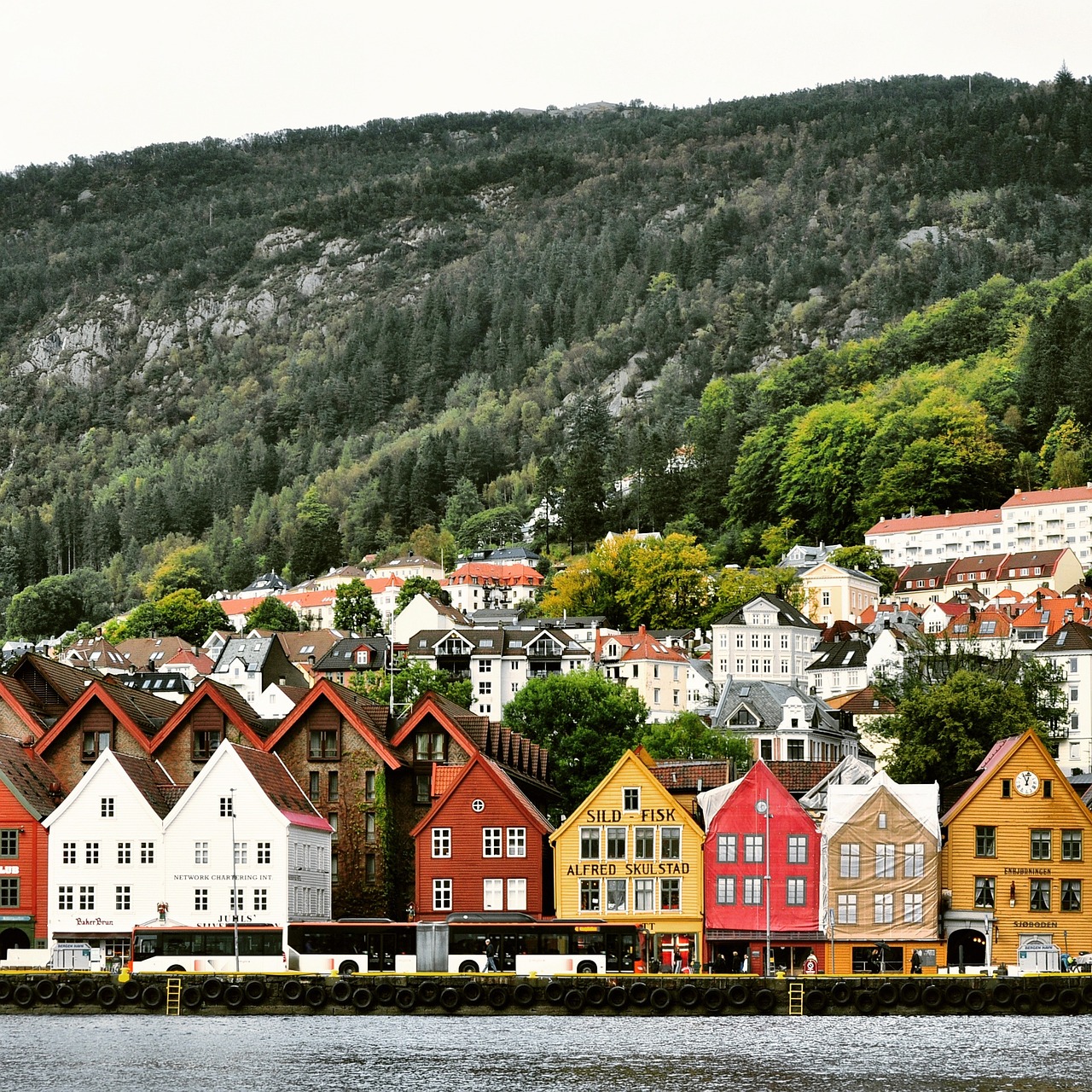 Norway: Nature and Nurture (image credits: pixabay)