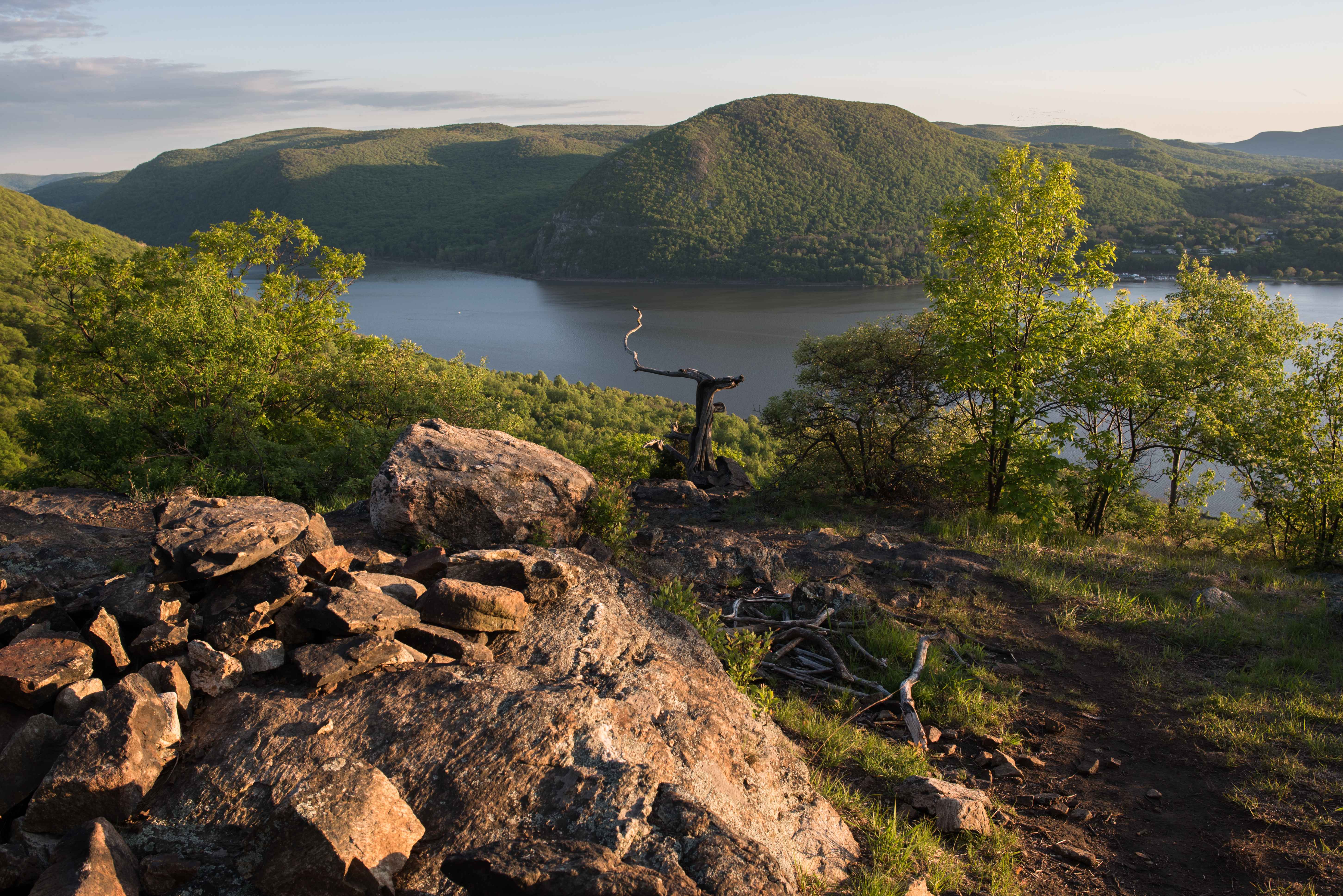 The Mountain Escape Strategy (image credits: wikimedia)