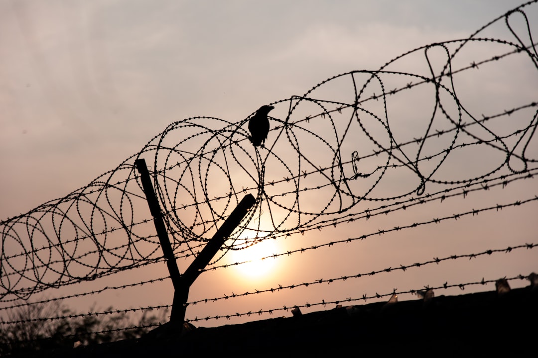Barbed Wire and Military Patrols: A Town Under Lockdown (image credits: unsplash)