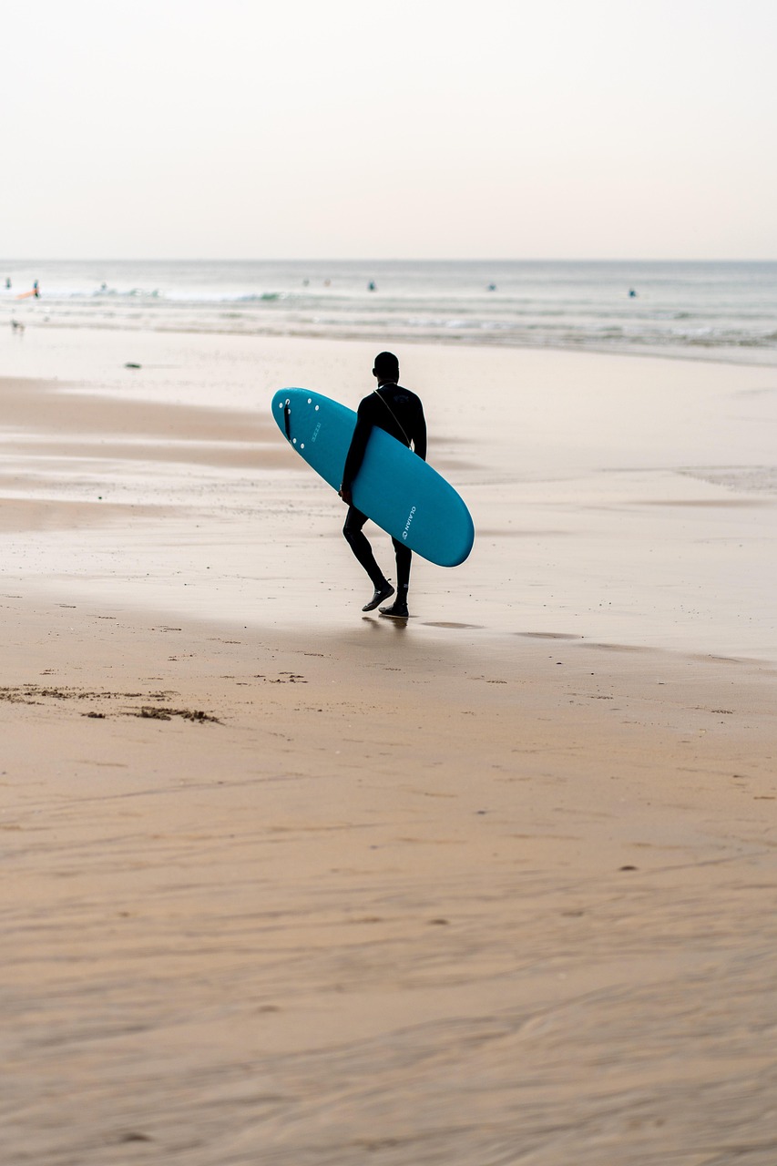 Surfing (image credits: pixabay)