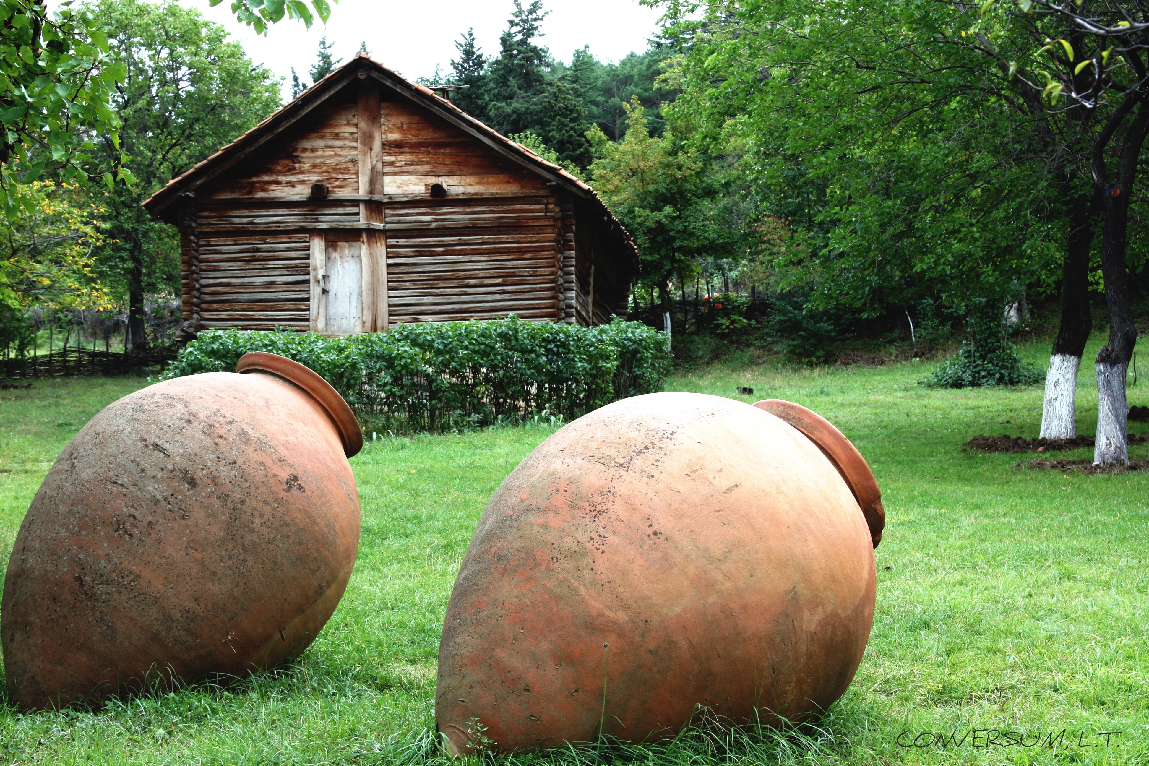The Ancient Origins of Georgian Wine (image credits: wikimedia)