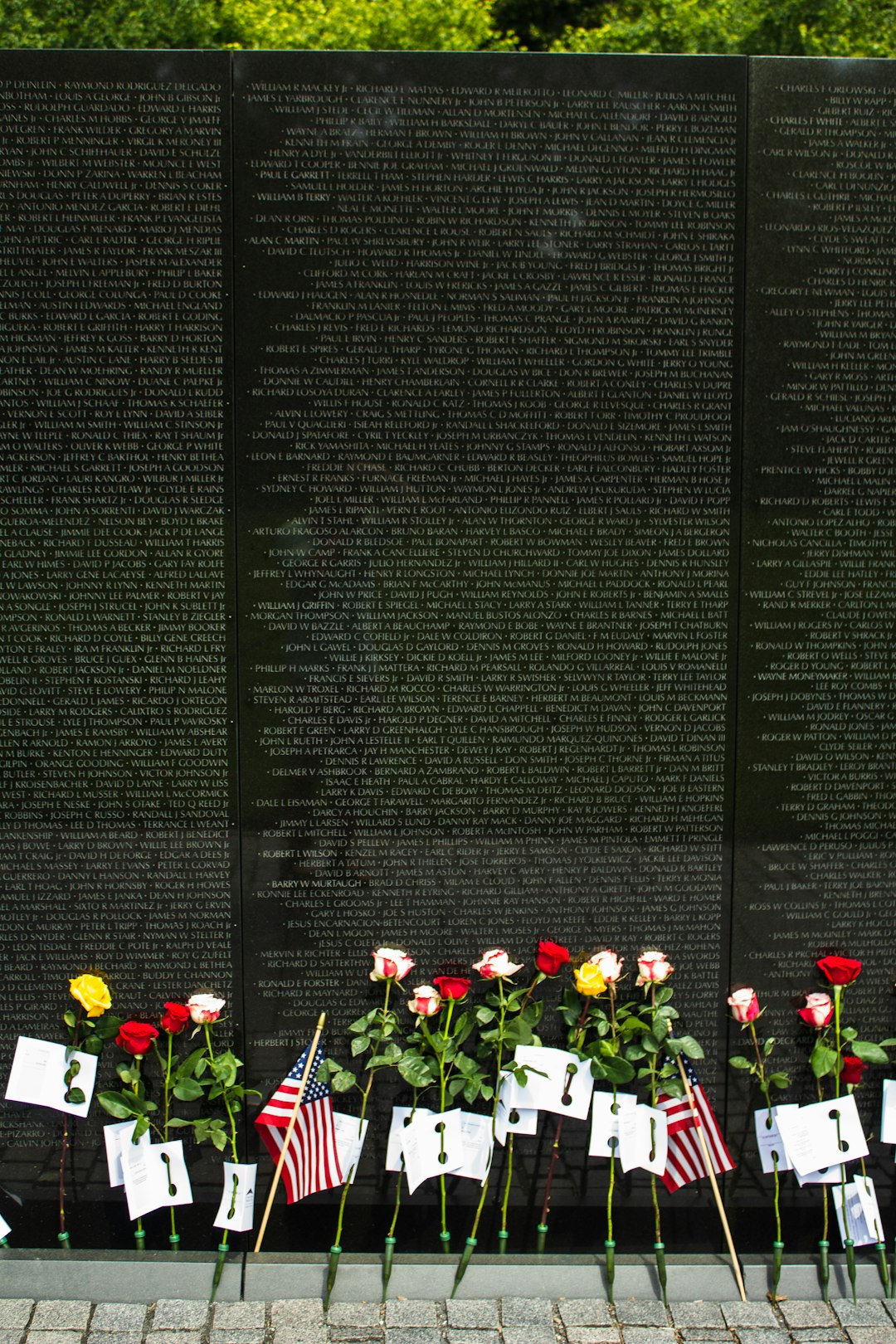 The Vietnam Veterans Memorial, Washington D.C. (image credits: unsplash)