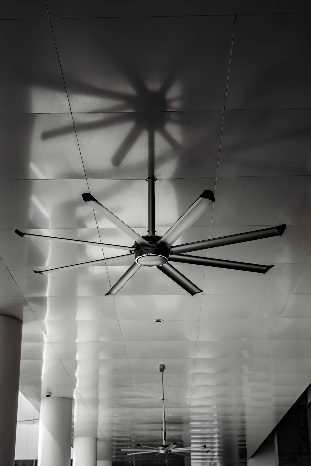 Ceiling Fan Blades (image credits: unsplash)