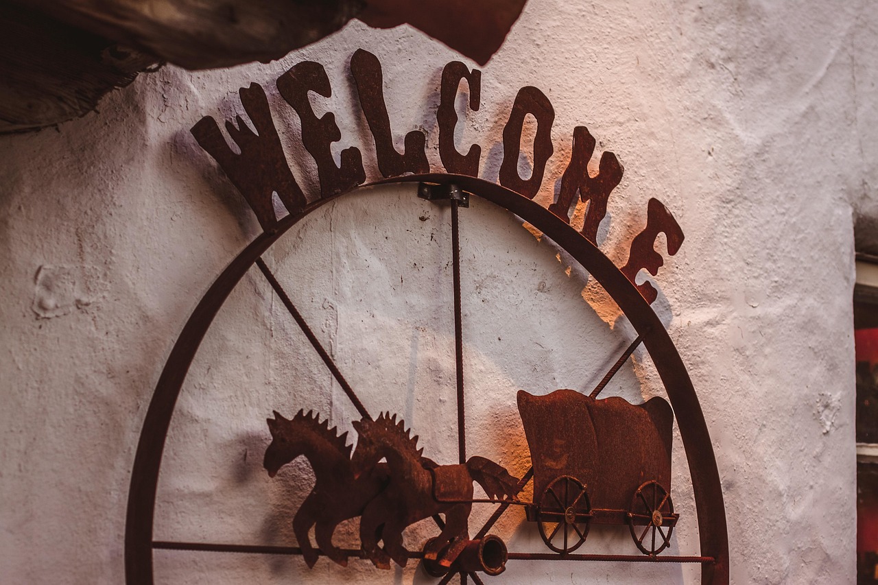 The Surge in Cowboy-Cation Popularity (image credits: pixabay)