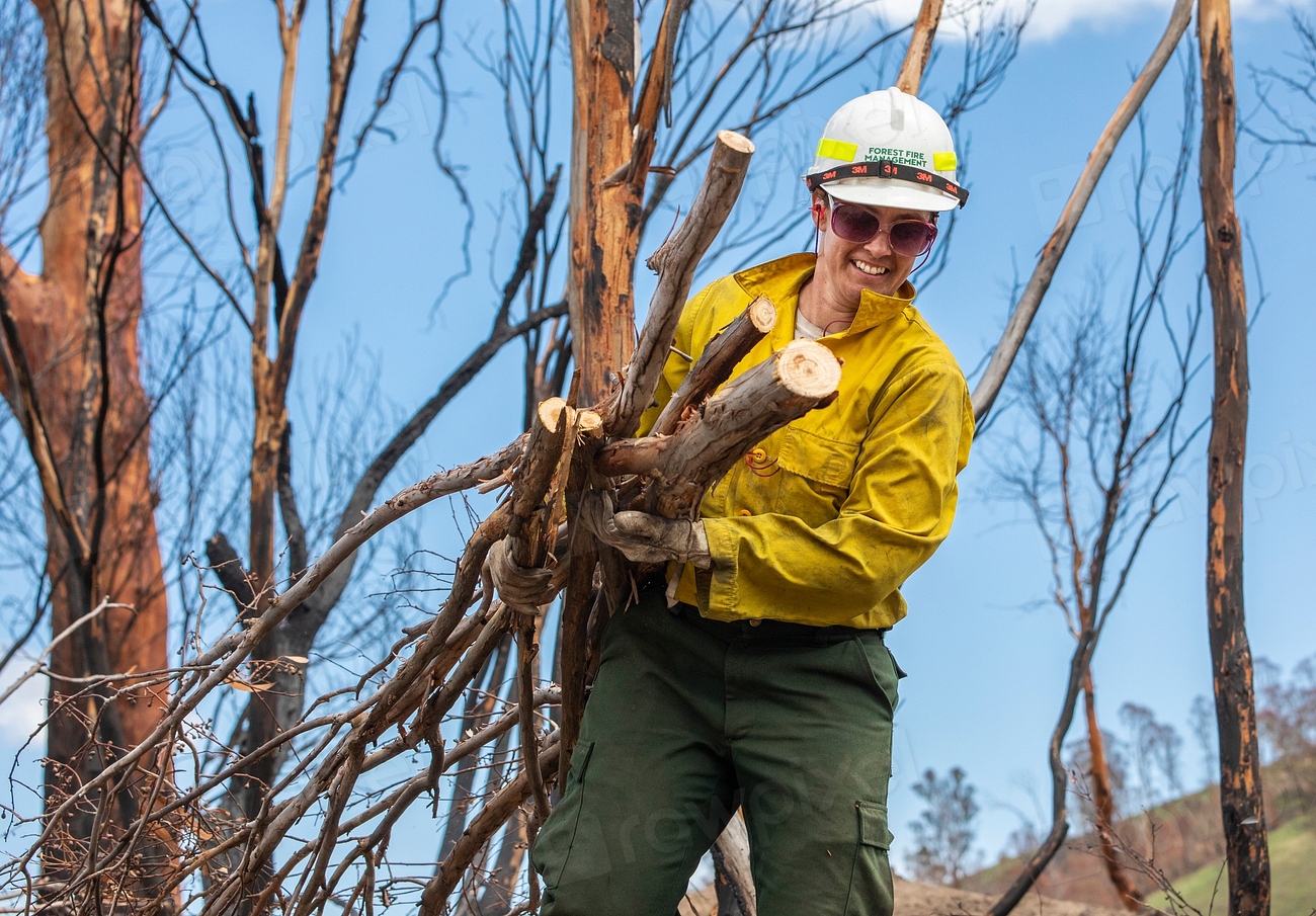 Australia: Environmental Policy Gaps (image credits: rawpixel)