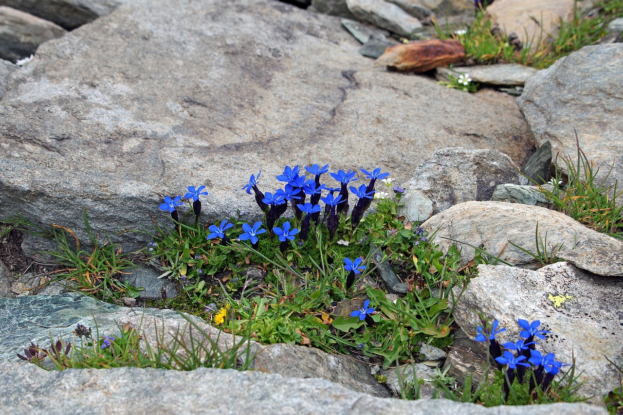 Less Stress, More Spontaneity (image credits: pixabay)