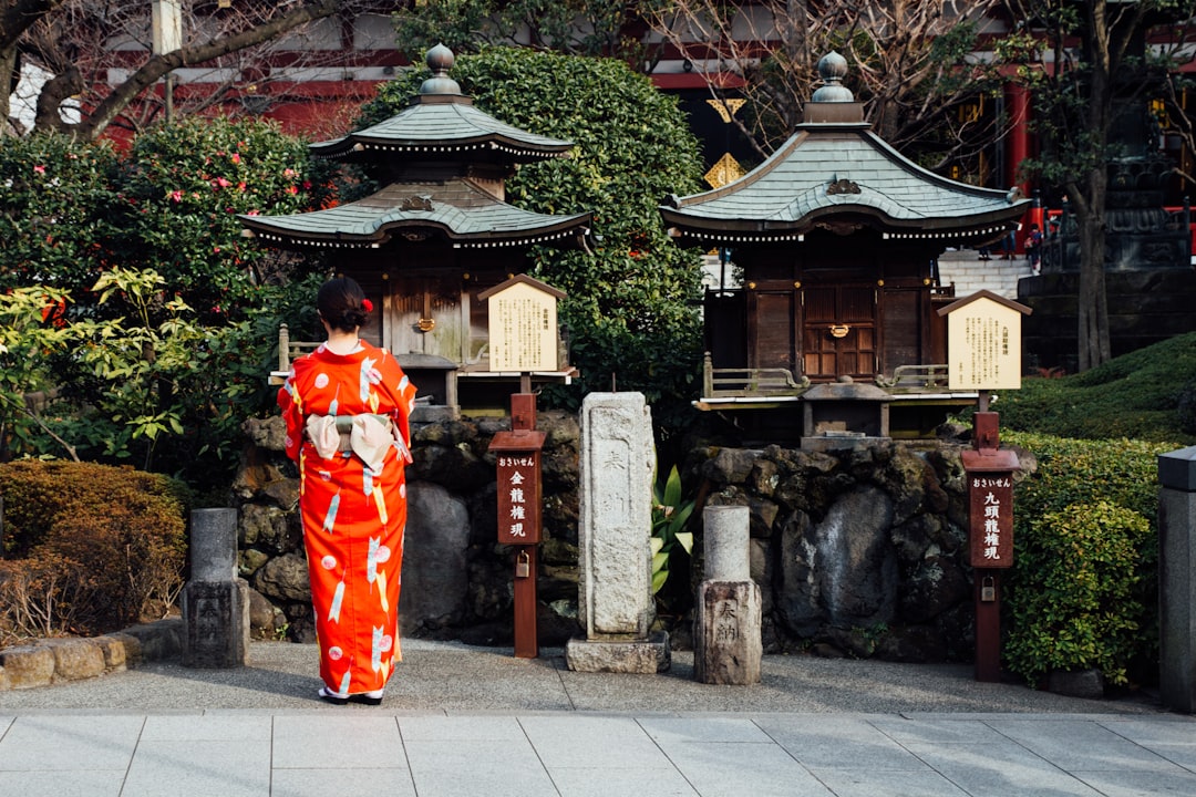 Japan Harmony of Tradition and Modernity (image credits: unsplash)