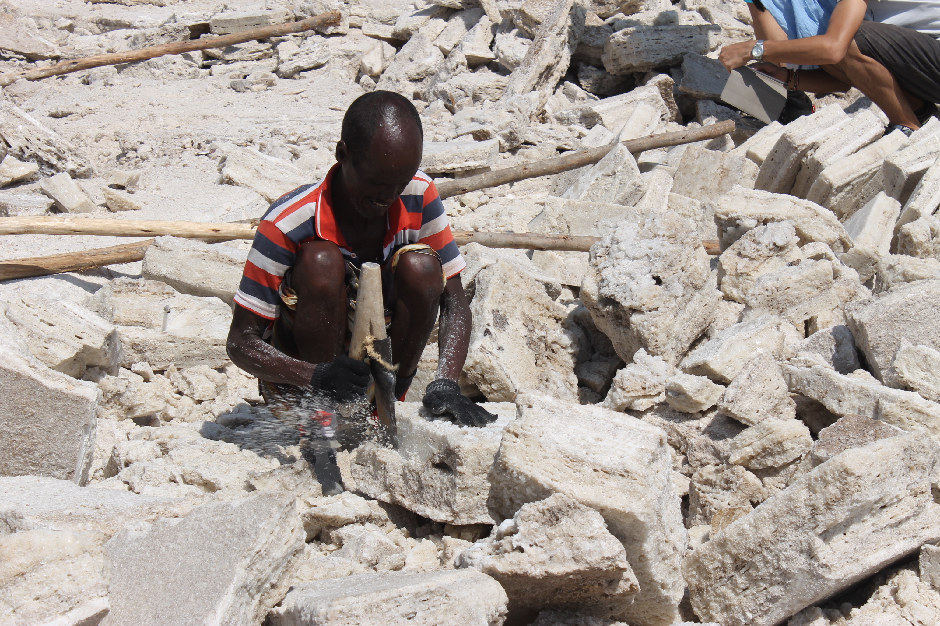 Salt Mining and Economic Importance (image credits: wikimedia)