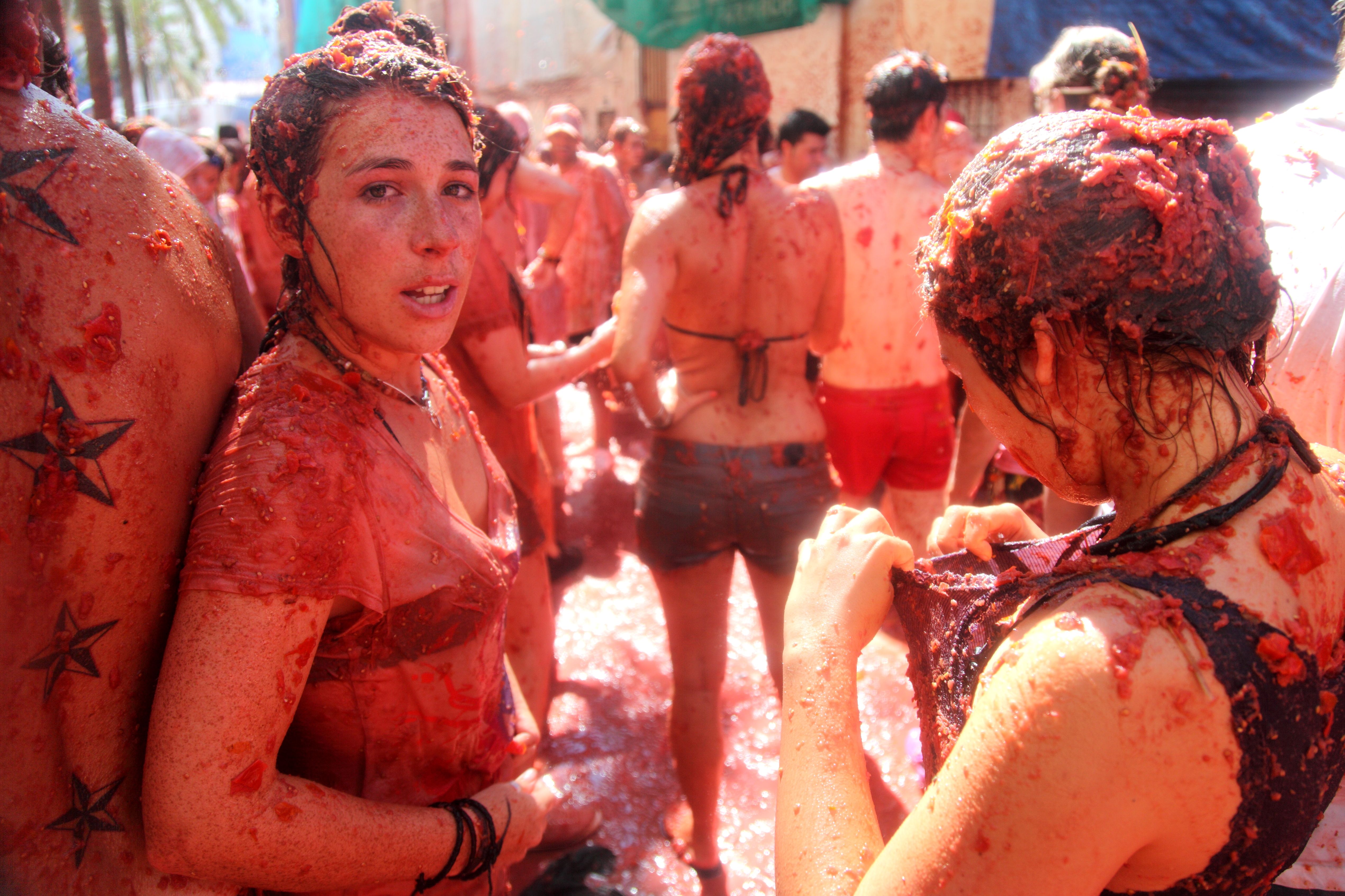 Spain: Festivals and Diverse Regions (image credits: wikimedia)