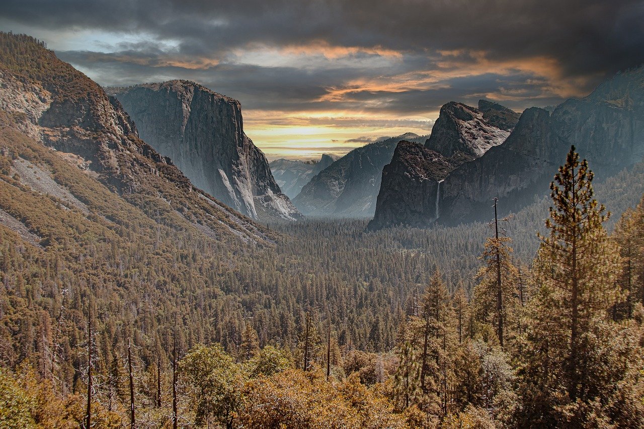 Olympic National Park, Washington (image credits: pixabay)