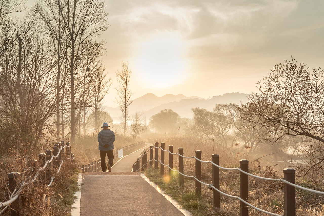 Personal Growth and Reflection (image credits: pixabay)