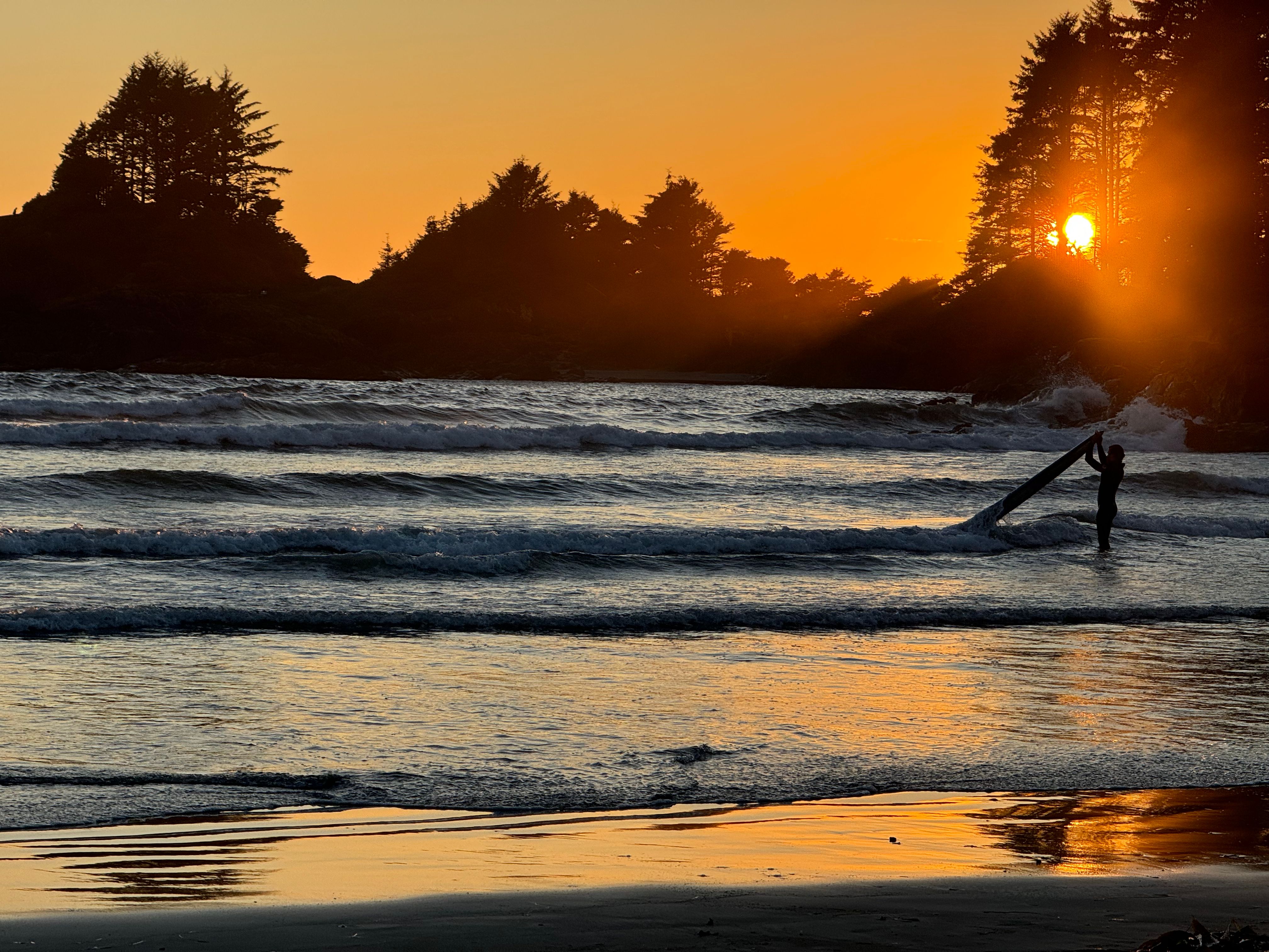 Tofino Surf Shacks and Swelling Crowds (image credits: wikimedia)