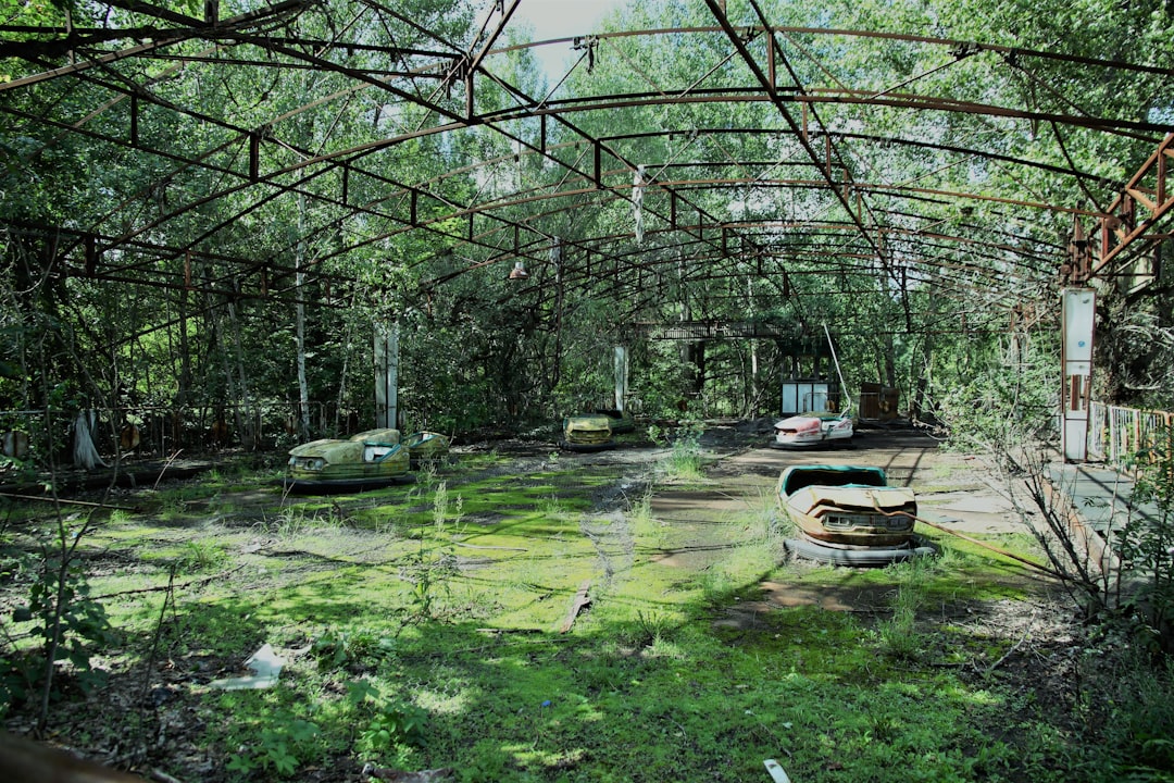 Wildlife in the Exclusion Zone (image credits: unsplash)