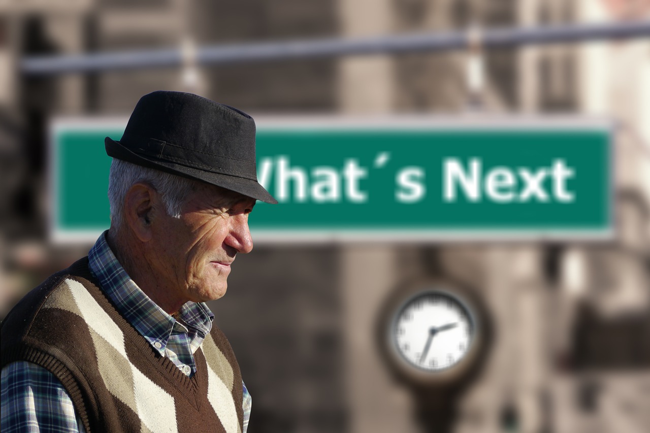 Netherlands: The Gold Standard in Pension Replacement (image credits: pixabay)