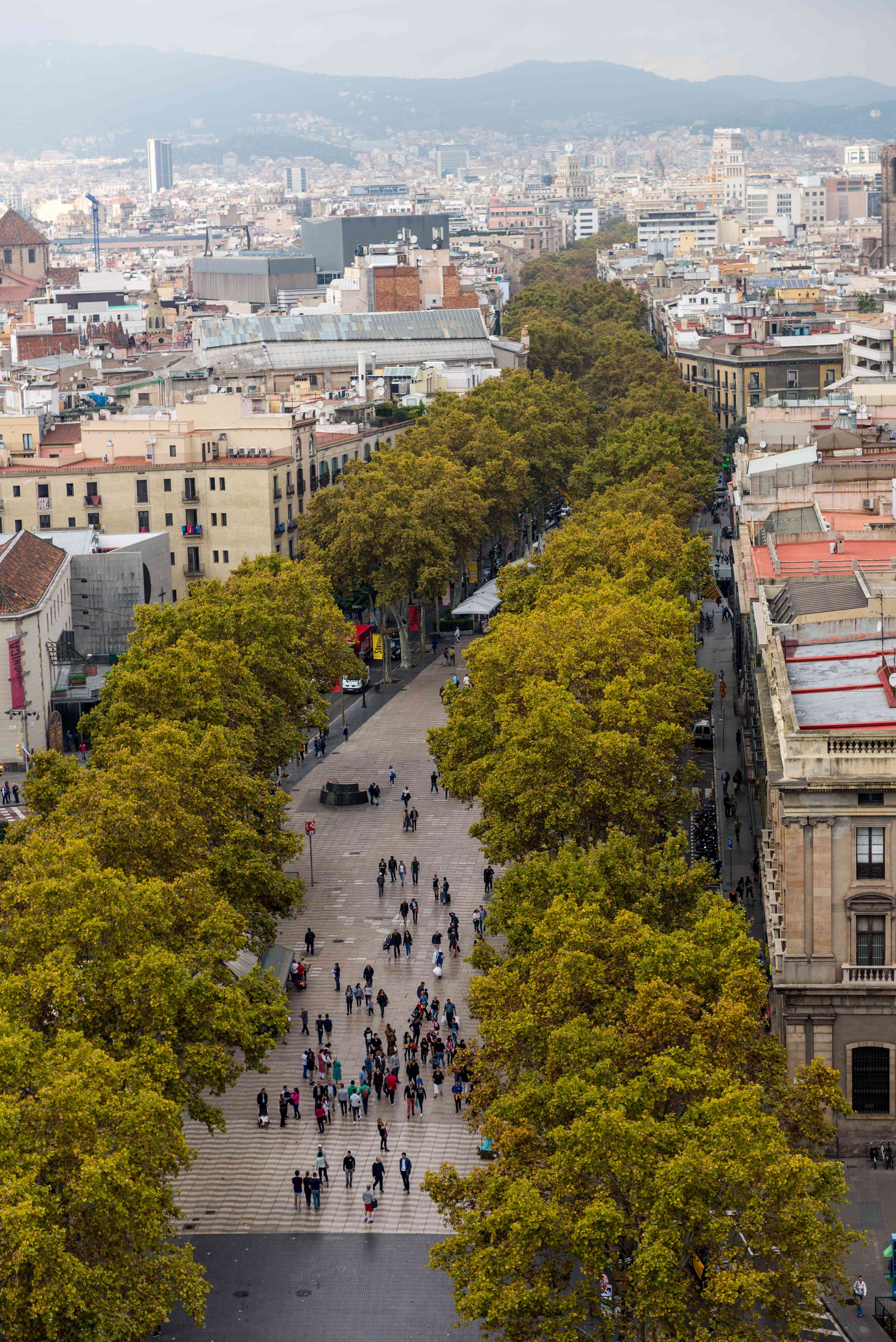 Barcelona, Spain: Local Discontent (image credits: wikimedia)